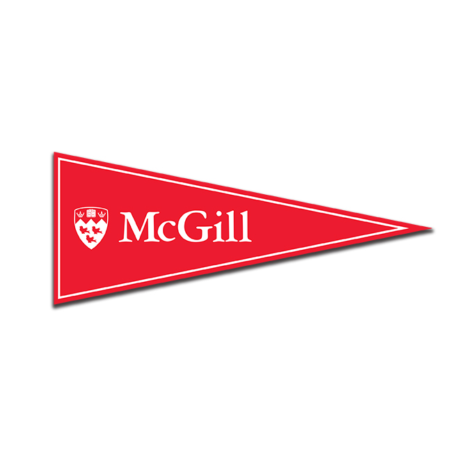  Full colour McGill imprint mini pennant